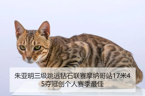 zhu-ya-ming-san-ji-tiao-yuan-zuan-shi-lian-sai-mo-na-ge-zhan-mi-duo-guan-chuang-ge-ren-sai-ji-zui-jia-2-174.jpg