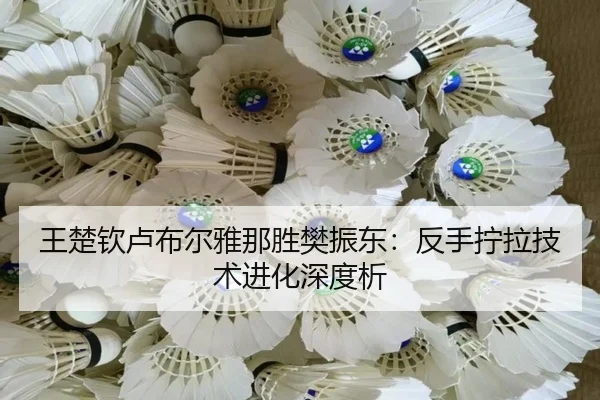 wang-chu-qin-lu-bu-er-ya-na-sheng-fan-zhen-dong-fan-shou-ning-la-ji-shu-jin-hua-shen-du-xi-2-293.jpg