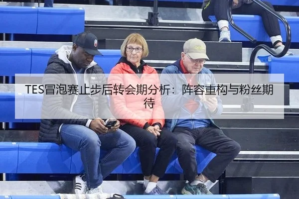TES冒泡赛止步后转会期分析：阵容重构与粉丝期待